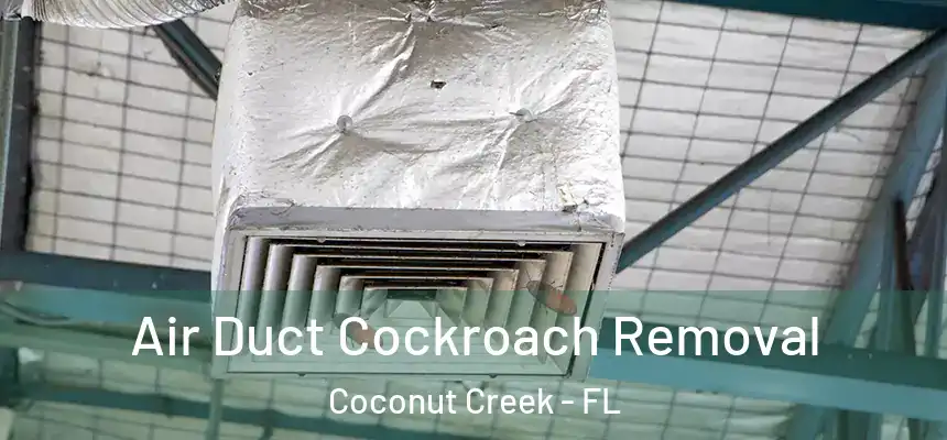Air Duct Cockroach Removal Coconut Creek - FL