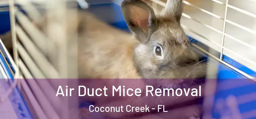 Air Duct Mice Removal Coconut Creek - FL