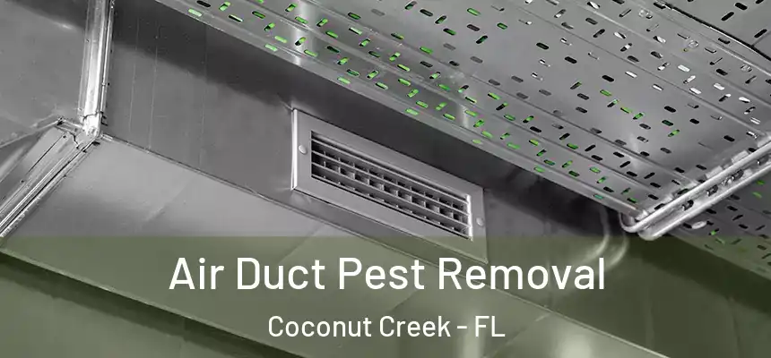 Air Duct Pest Removal Coconut Creek - FL