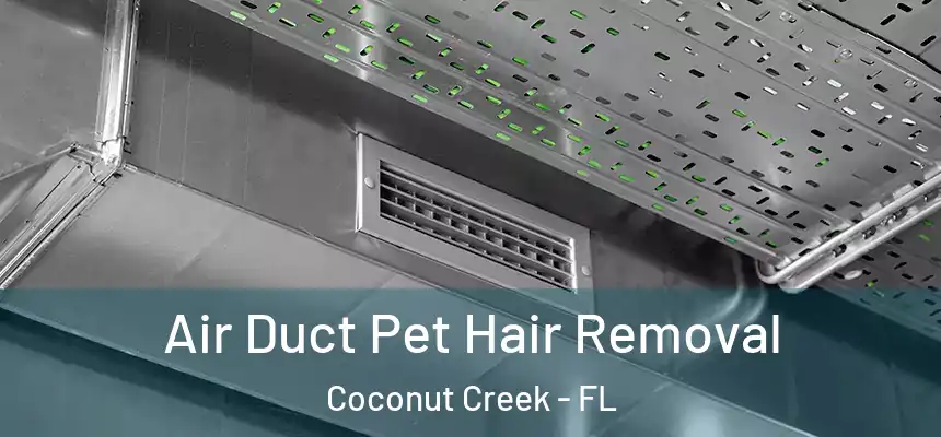 Air Duct Pet Hair Removal Coconut Creek - FL