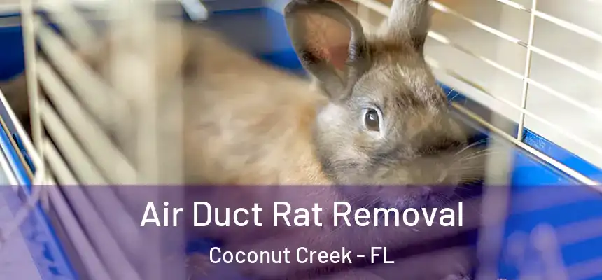 Air Duct Rat Removal Coconut Creek - FL