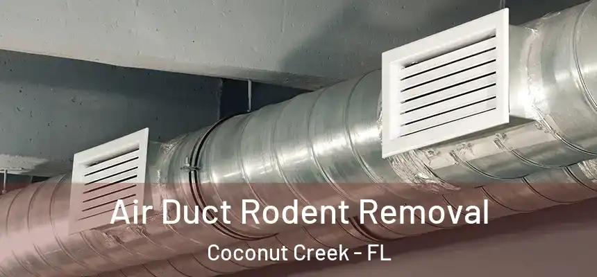 Air Duct Rodent Removal Coconut Creek - FL