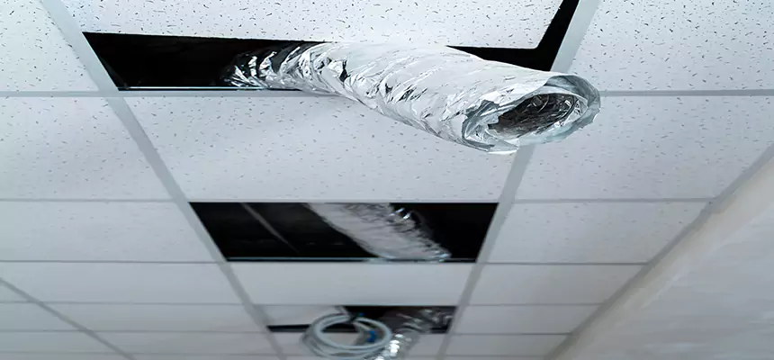 Affordable HVAC Sanitizing After Pest Removal in Coconut Creek