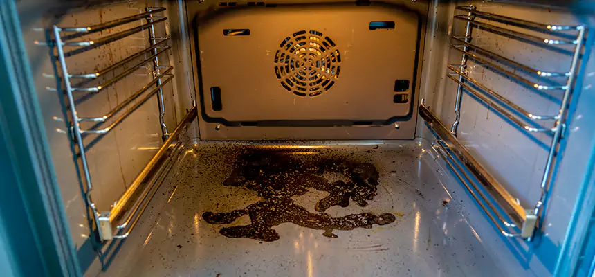 Our Dryer Vent Mold Cleaning Services in Coconut Creek, FL
