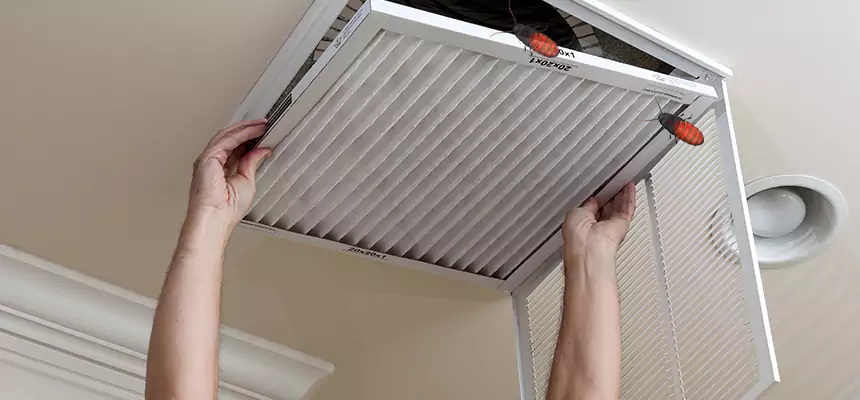 Our Insect Removal from Air Ducts Services in Coconut Creek, FL