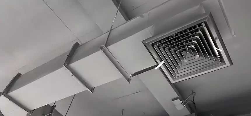 Our Pest Removal From Ducts Services in Coconut Creek, FL