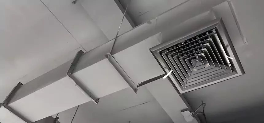 Our Rodent Droppings In Vents Services in Coconut Creek, FL