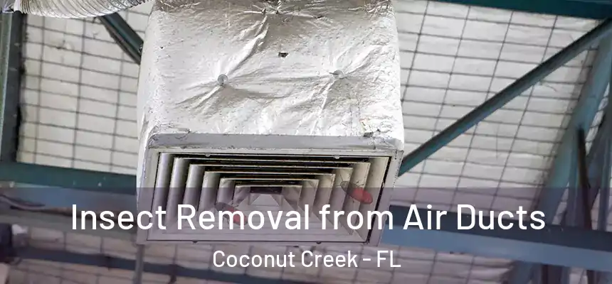 Insect Removal from Air Ducts Coconut Creek - FL