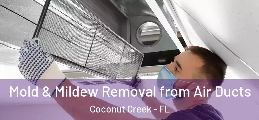 Mold & Mildew Removal from Air Ducts Coconut Creek - FL