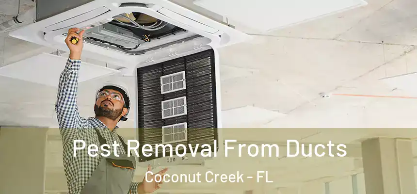 Pest Removal From Ducts Coconut Creek - FL
