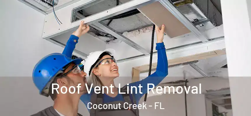 Roof Vent Lint Removal Coconut Creek - FL