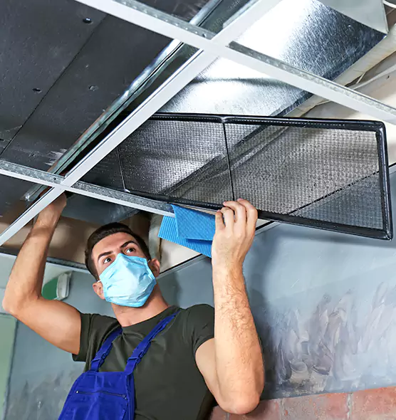 About Air Duct Bacteria Removal in Coconut Creek