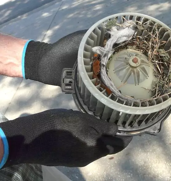 About Air Duct Mice Removal in Coconut Creek, FL