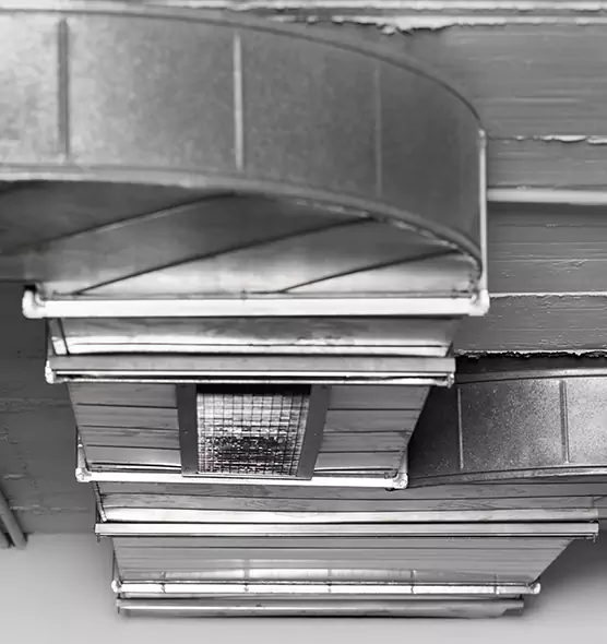 Professional Air Duct Pest Removal in Coconut Creek, FL