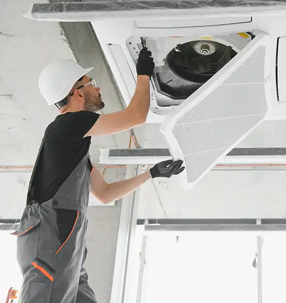 About Air Duct Rodent Removal in Coconut Creek, FL
