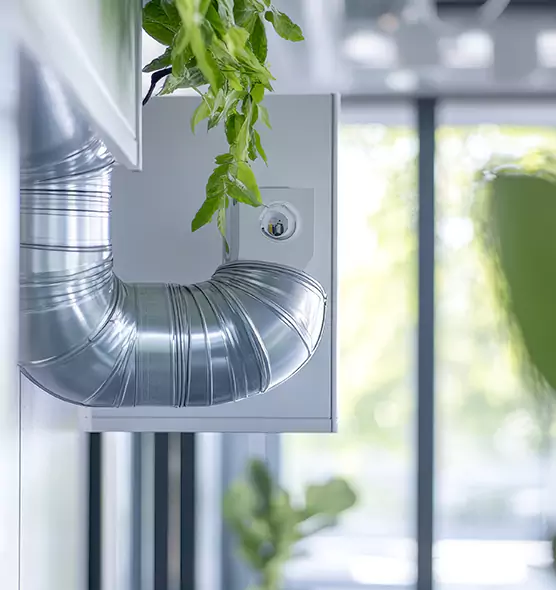 Professional Eco-Friendly Duct Cleaning Services in Coconut Creek, FL