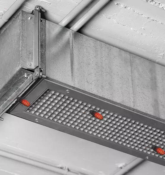 Affordable Insect Removal from Air Ducts in Coconut Creek, FL