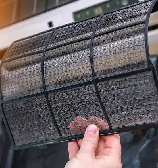 About Pet Dander Duct Cleaning in Coconut Creek, FL